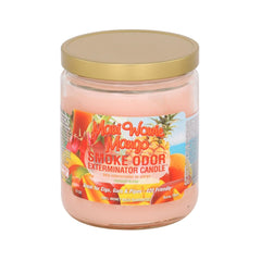 Smoke Odor 13oz Candle